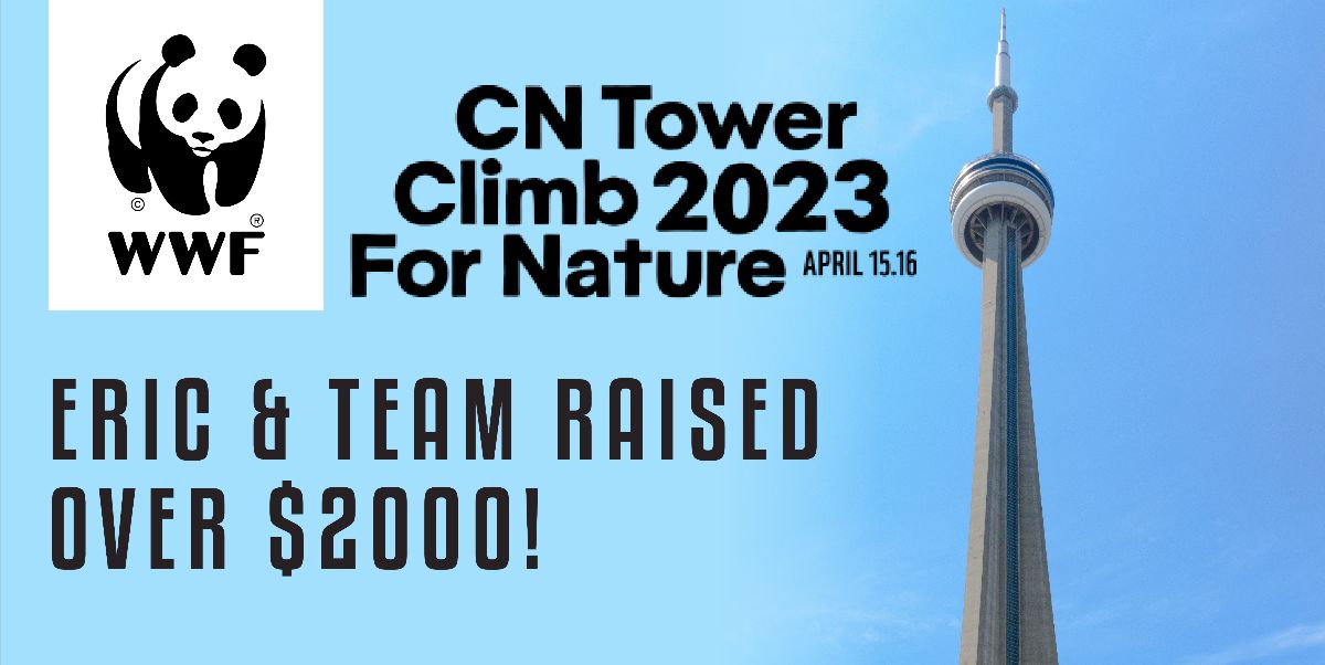 CN tower climb 2023